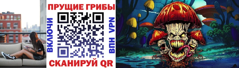 Псилоцибиновые грибы Magic Shrooms  закладка  Нестеровская 